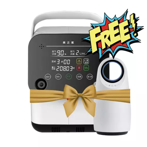 oxygen concentrator with air purifier